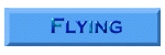 Fly